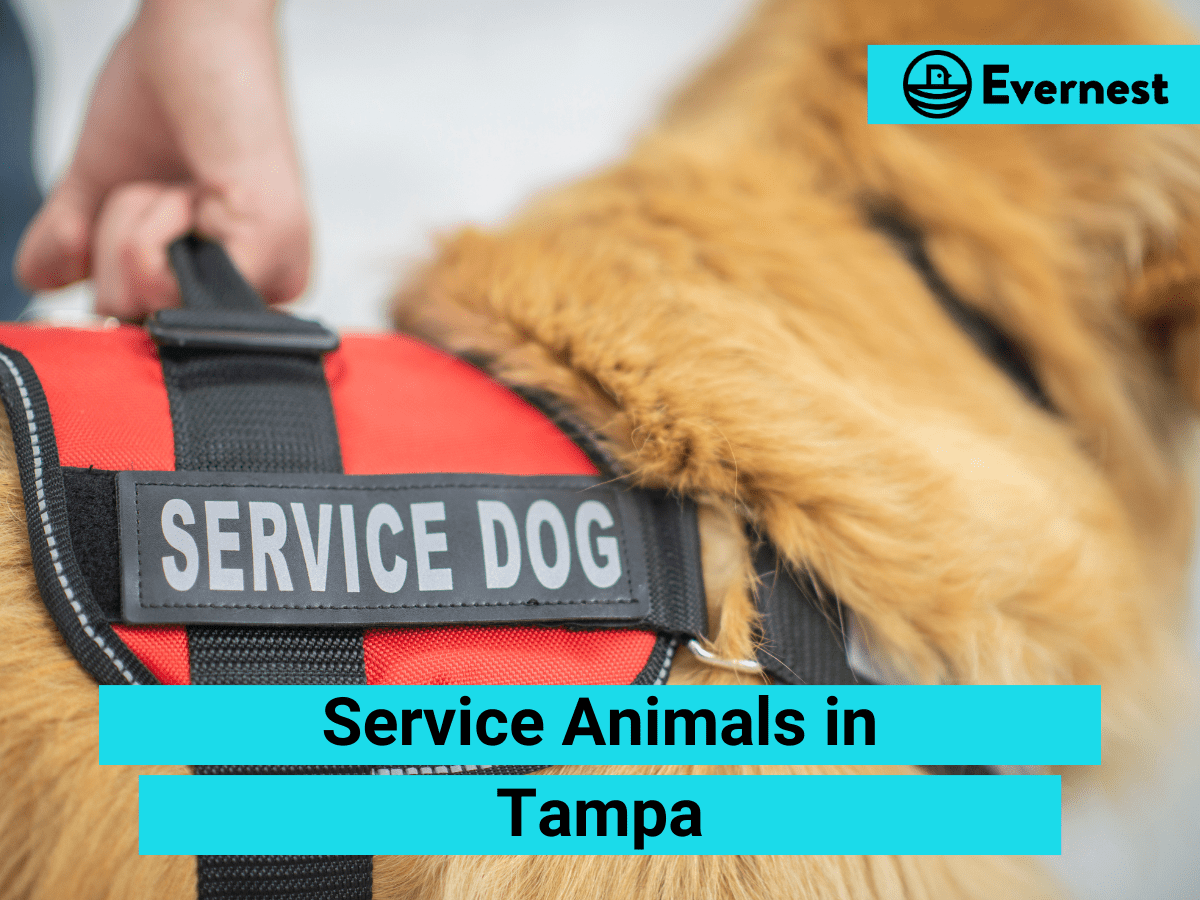 Service Animals: Everything Landlords Need to Know in Tampa, Florida