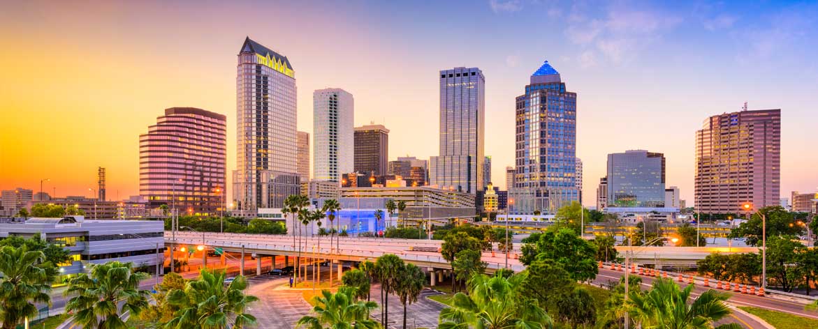 New Tampa Property Management